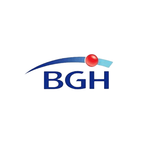 bgh-removebg-preview